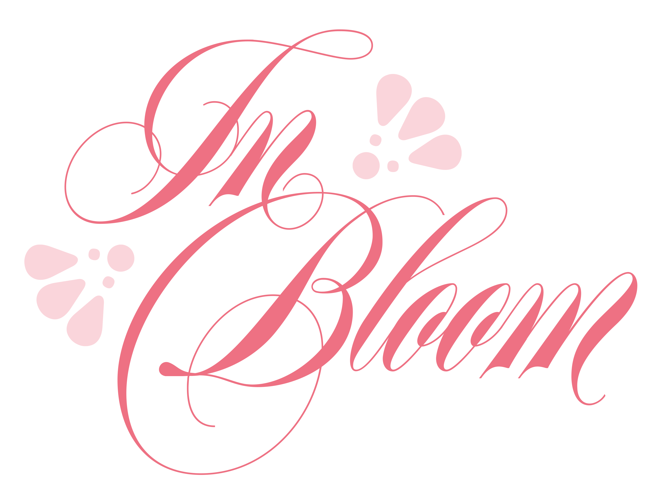 In Bloom logo